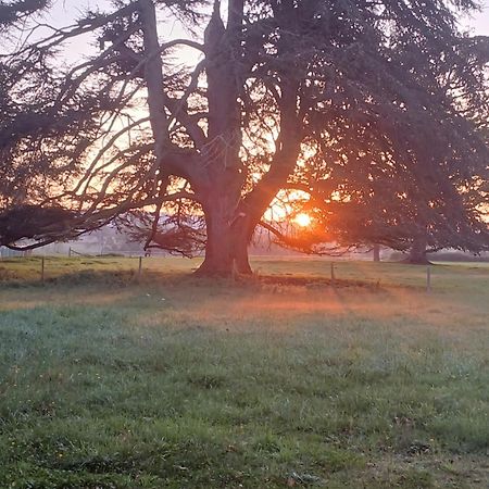 Chateau De Maucouvent Challuy Buitenkant foto