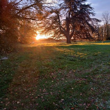 Chateau De Maucouvent Challuy Buitenkant foto