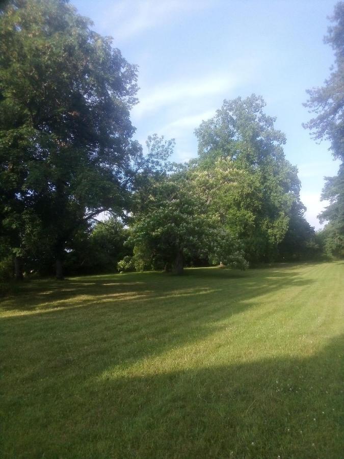 Chateau De Maucouvent Challuy Buitenkant foto