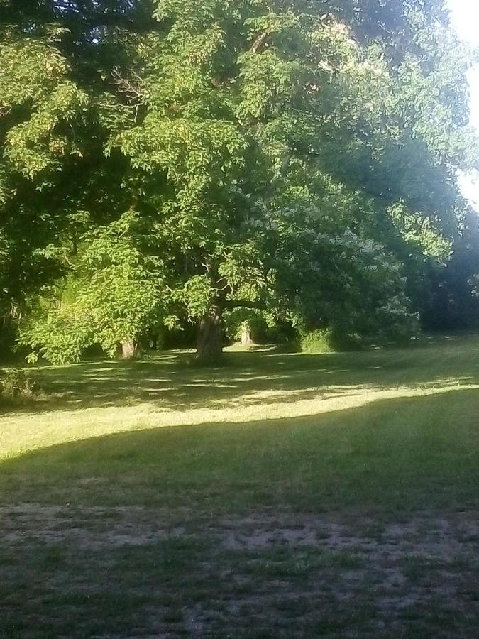 Chateau De Maucouvent Challuy Buitenkant foto