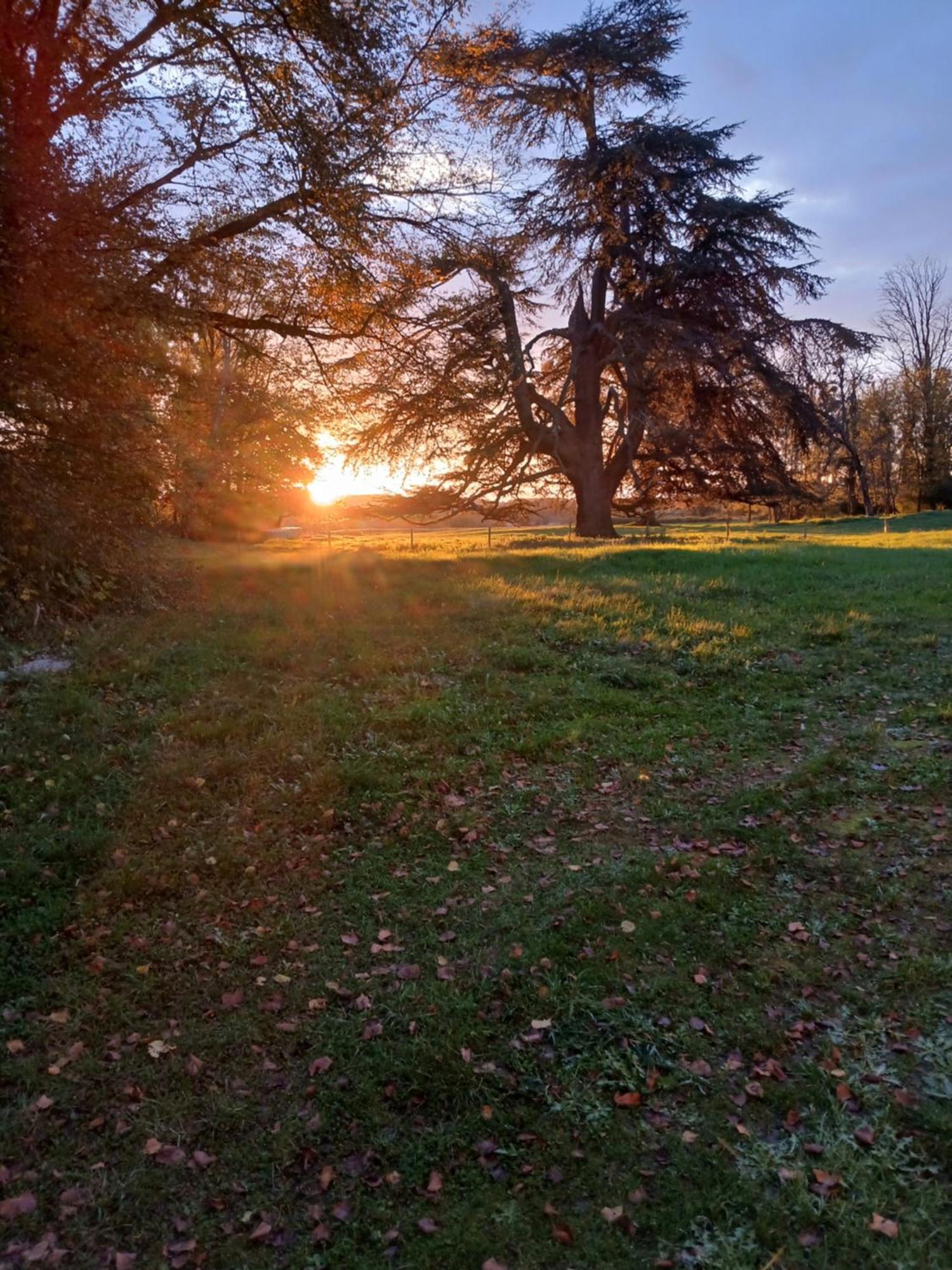 Chateau De Maucouvent Challuy Buitenkant foto
